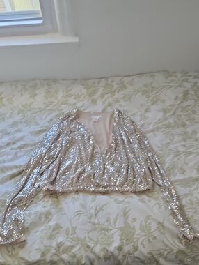H&M Sequin Long-Sleeve V-Neck Crop Top in Champagne
